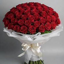 Букет 101 Красная роза Блэк Мэджик в Льгове