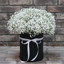 Цветочная композиция из Гипсофила в шляпной коробке в Льгове