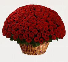 Премиум букет из: Розы в Льгове